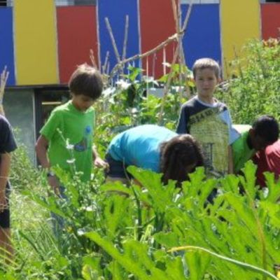 7 activitats pel Dia Mundial del Medi Ambient a l’escola