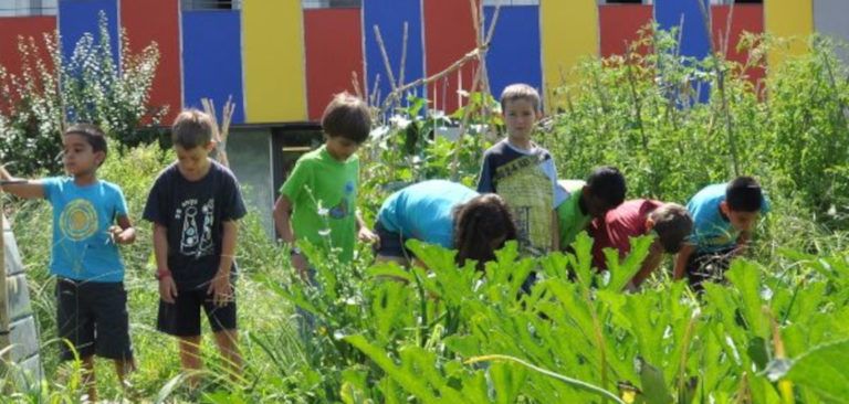 7 activitats pel Dia Mundial del Medi Ambient a l’escola