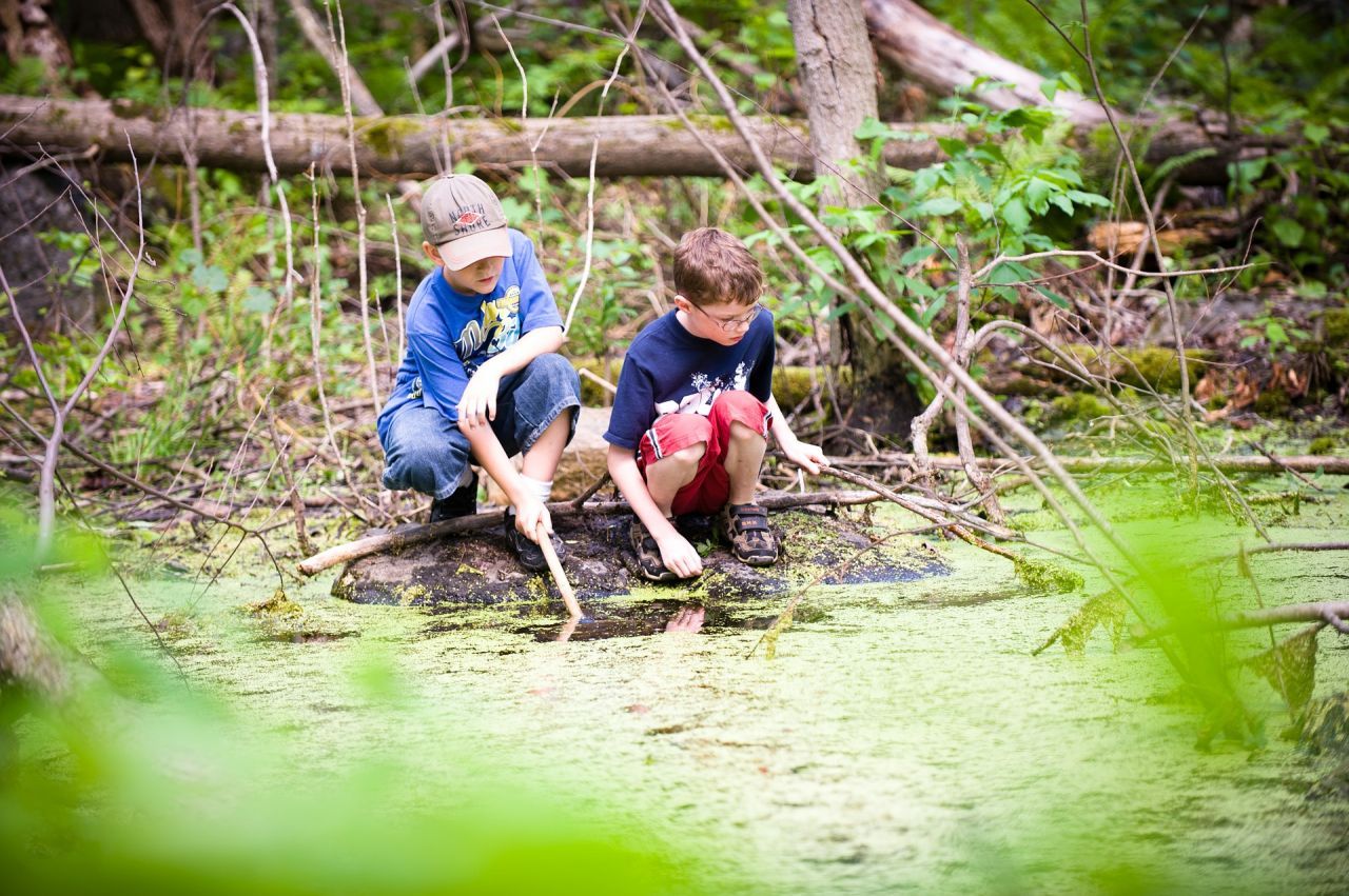 Dia mundial de l’educació ambiental