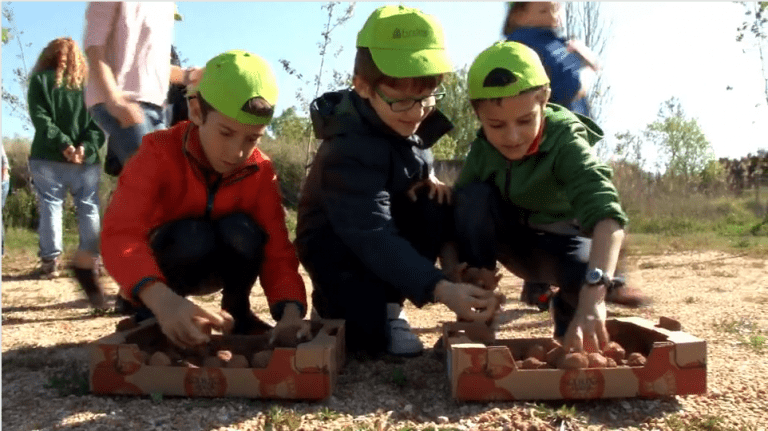 Reforestem amb els infants una zona del Delta del Llobregat