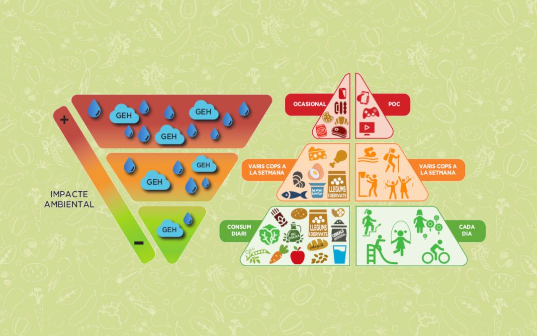 Guía completa de la Pirámide Alimenticia