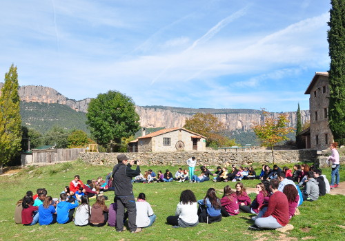 Crèdit de síntesi a la natura 3