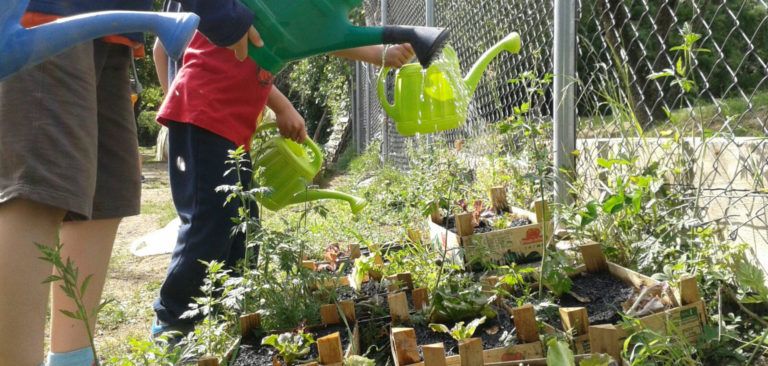 5 maneres de fer un hort escolar al pati
