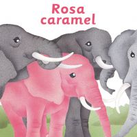 Rosa-Caramel Fundesplai