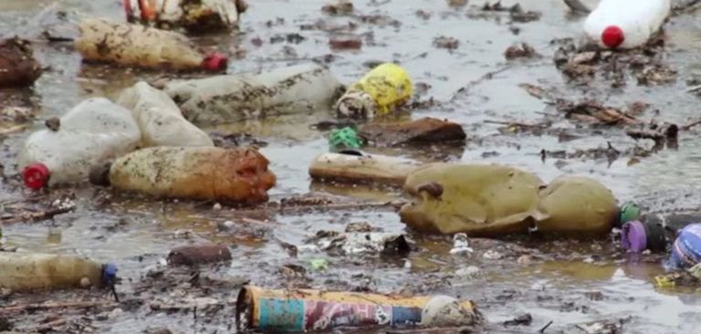 10 recursos para el Día del Medio Ambiente 2018