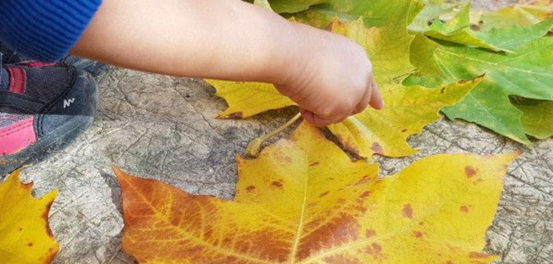 Cómo hacer Land Art con niños y niñas