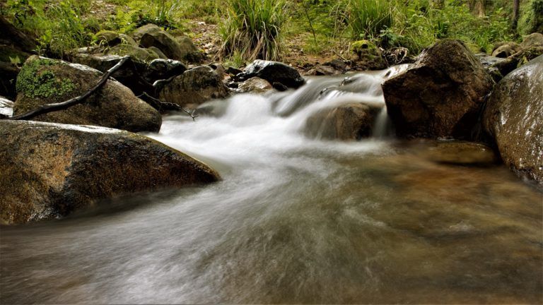 5 salidas escolares por el Día Mundial del Agua