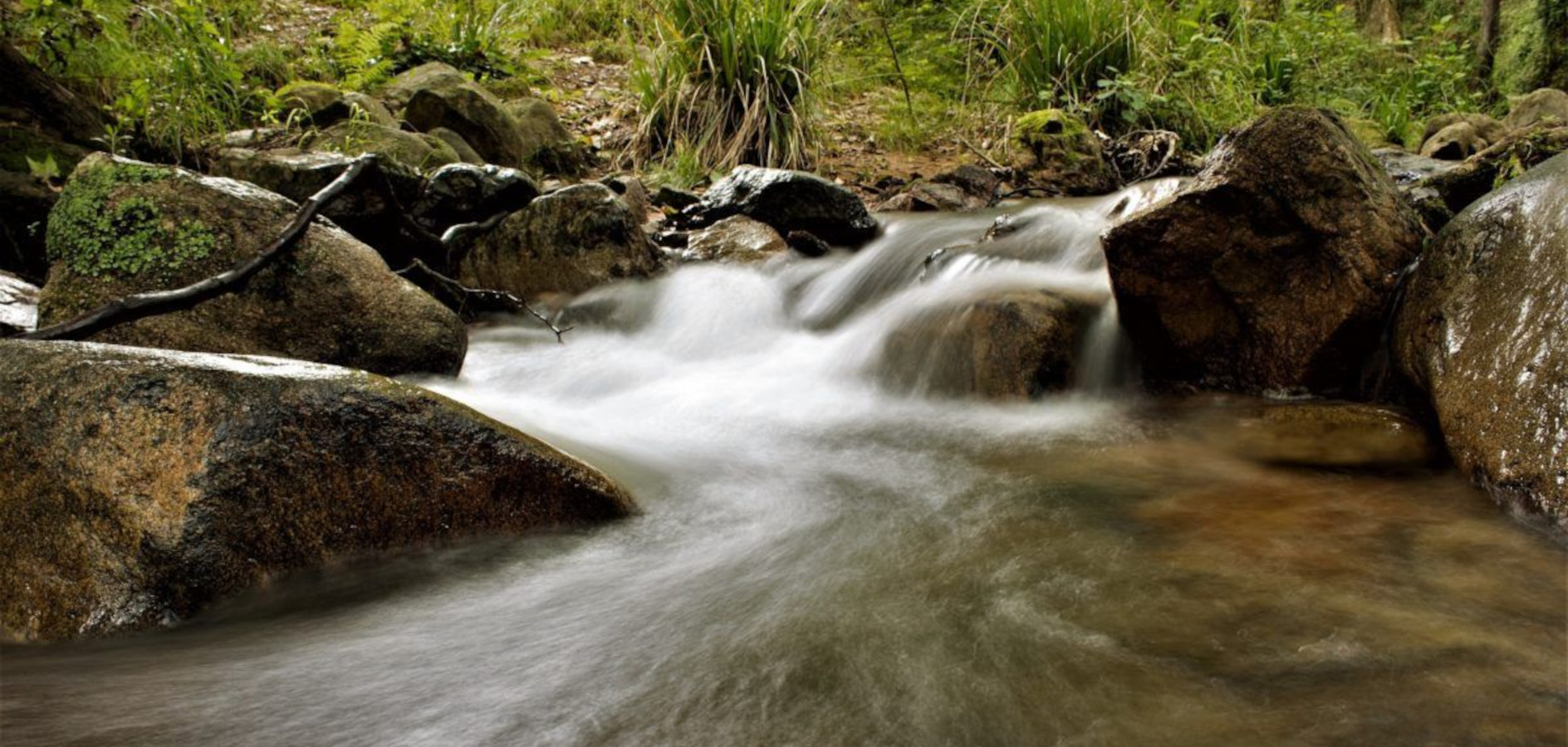 5 salidas escolares por el Día Mundial del Agua