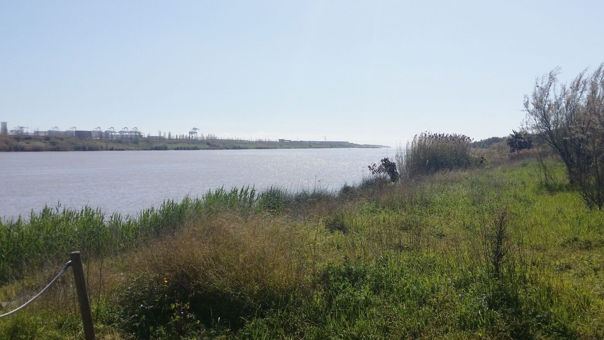 Descobrim el delta Fundesplai Zona delta del llobregat