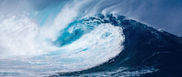 11 activitats educatives pel Dia Mundial dels Oceans – totes les edats