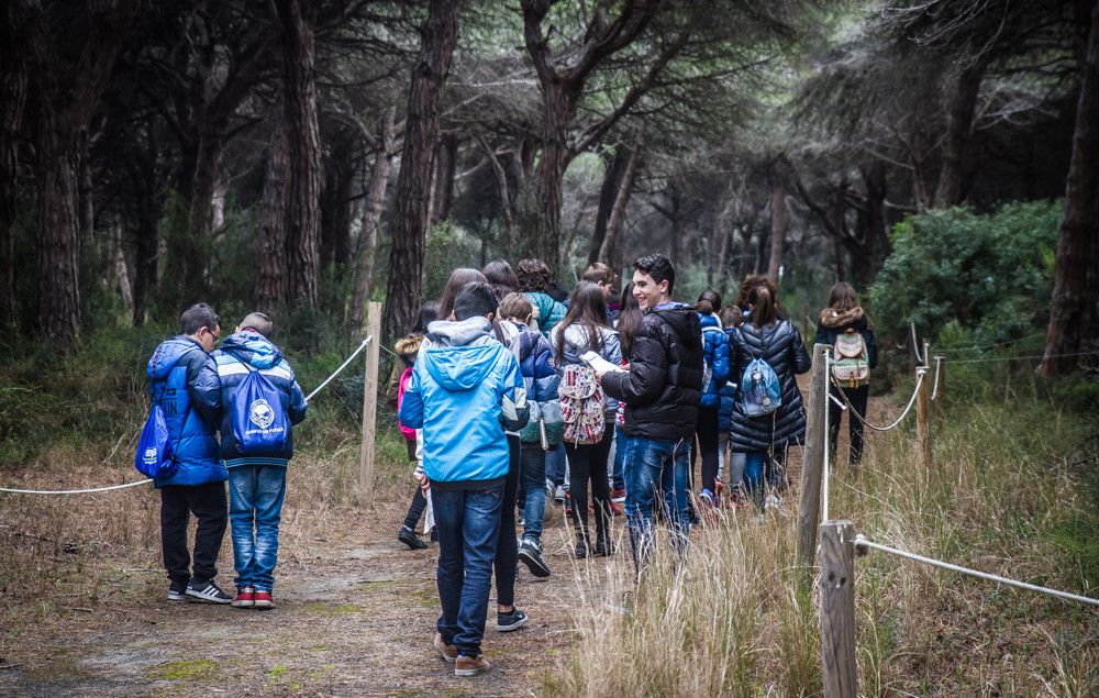 Pineda Can Camins sortida escola