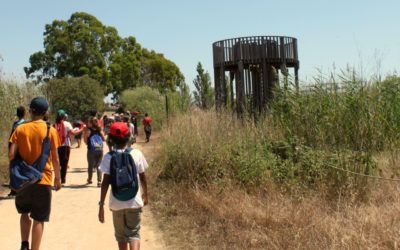 Descubre el Delta del Llobregat en una salida escolar