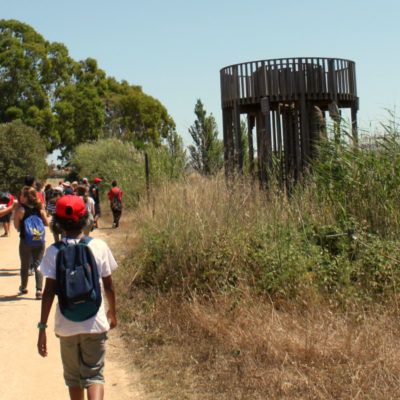 3 Sortides escolars per conèixer el Delta del Llobregat