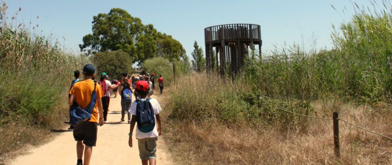Descubre el Delta del Llobregat en una salida escolar