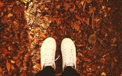 8 salidas escolares para disfrutar del otoño