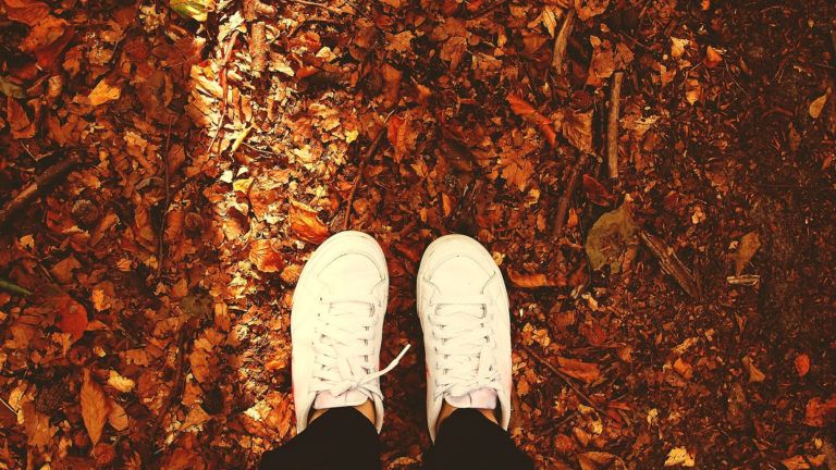 8 salidas escolares para disfrutar del otoño