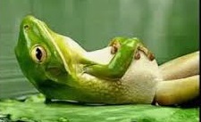 Exercici Mindfulness TEMPS M’ESCOLTO (Secundària)