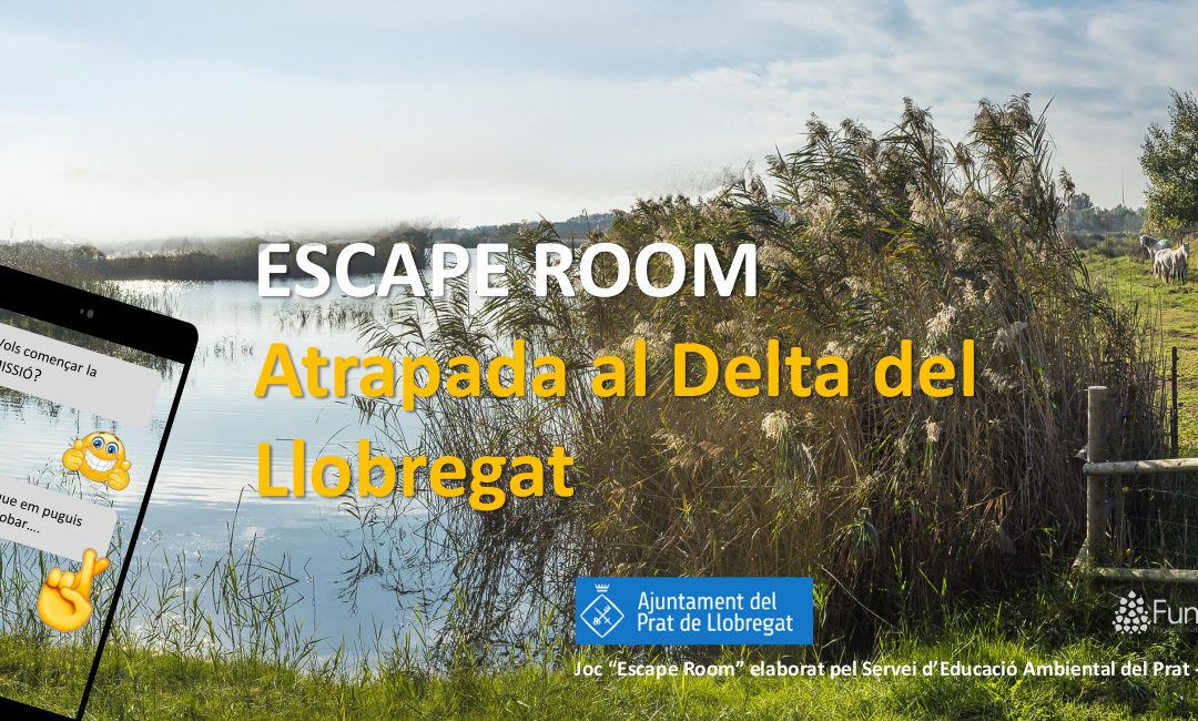 Una escape room sobre el Delta del Llobregat per a escoles i esplais