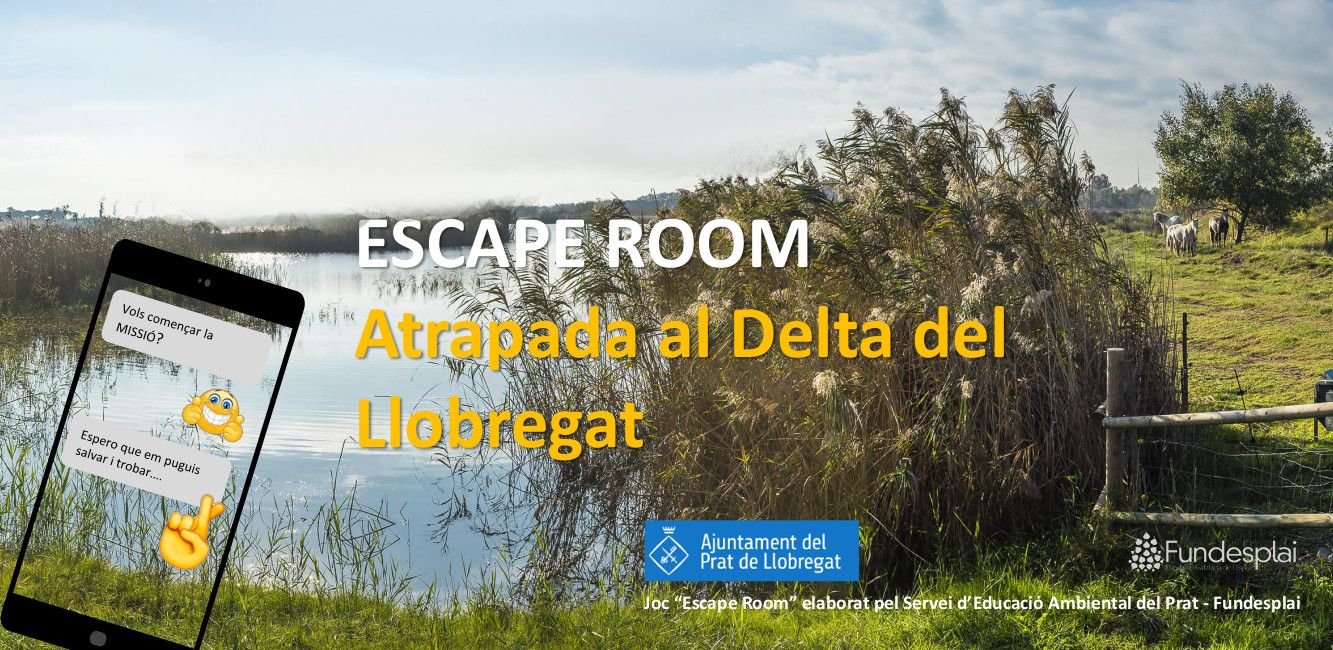 Una escape room sobre el Delta del Llobregat per a escoles i esplais