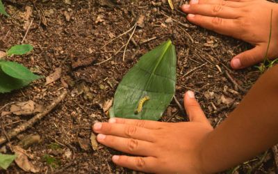 5 Sortides escolars en parcs urbans