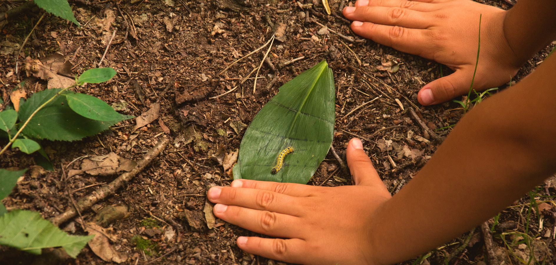 5 Sortides escolars en parcs urbans