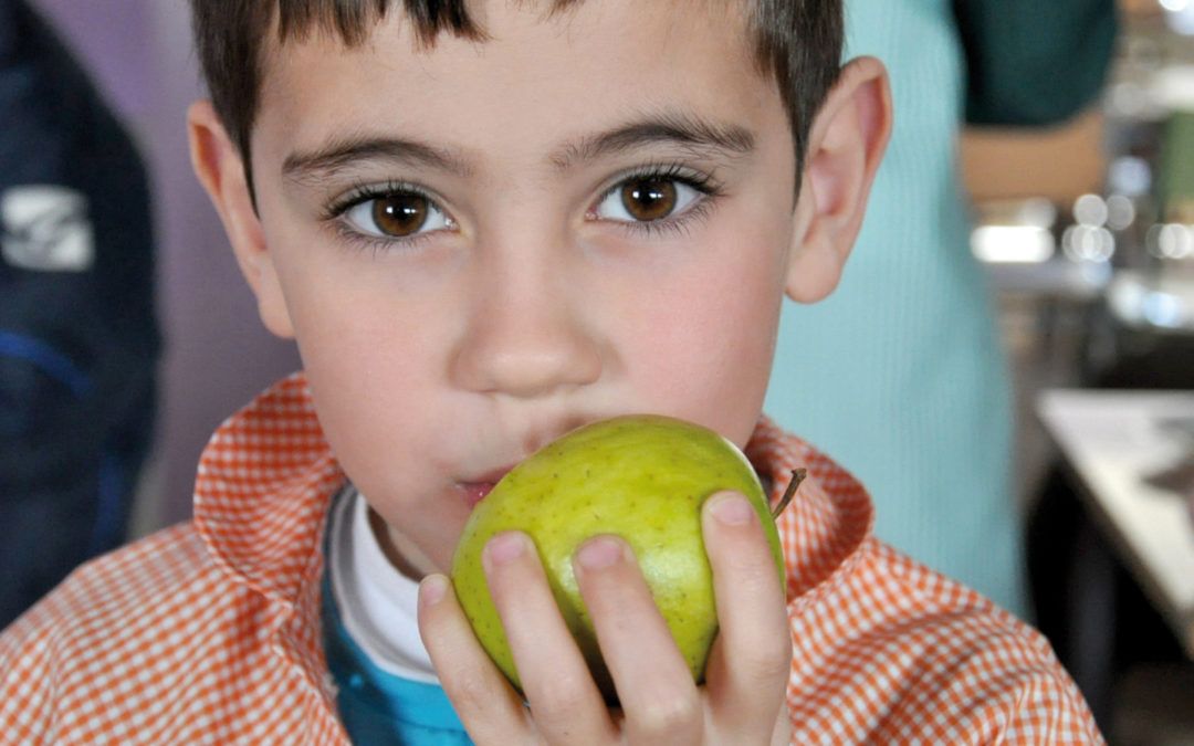 L’alimentació saludable al menjador escolar: 10 principis bàsics
