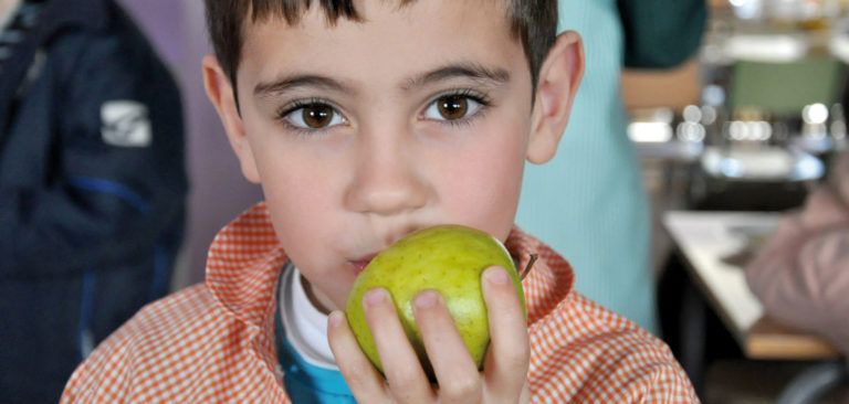 L’alimentació saludable al menjador escolar: 10 principis bàsics