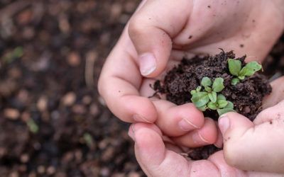 7 acciones educativas para el día del medio ambiente 2021