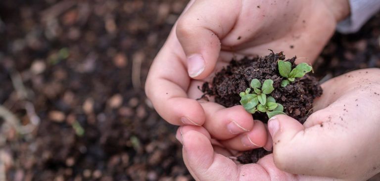 7 acciones educativas para el día del medio ambiente 2021