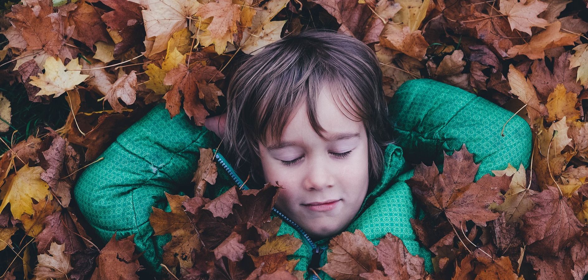 5 beneficios de hacer colonias escolares en el otoño