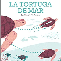 la tortuga de mar