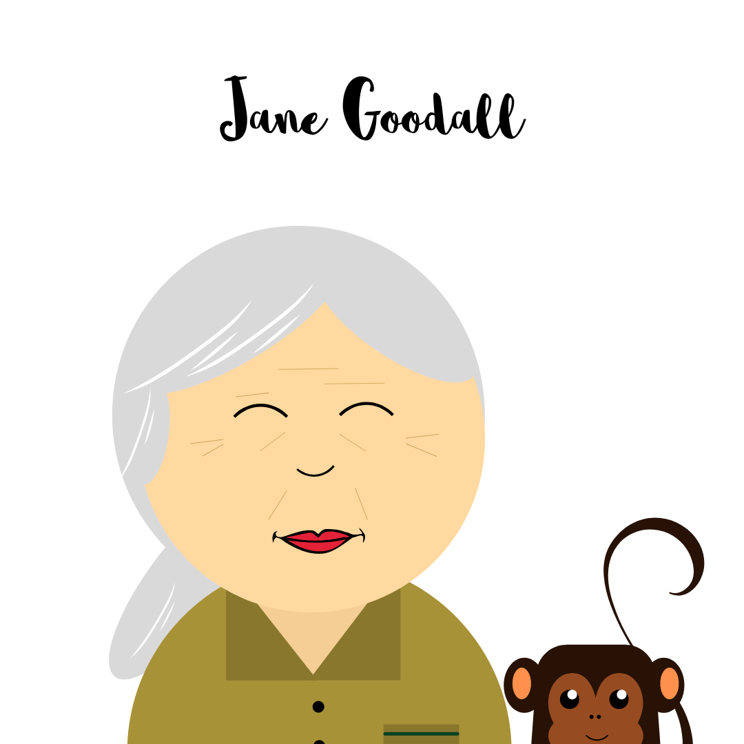 Jane Goodall Fundesplai