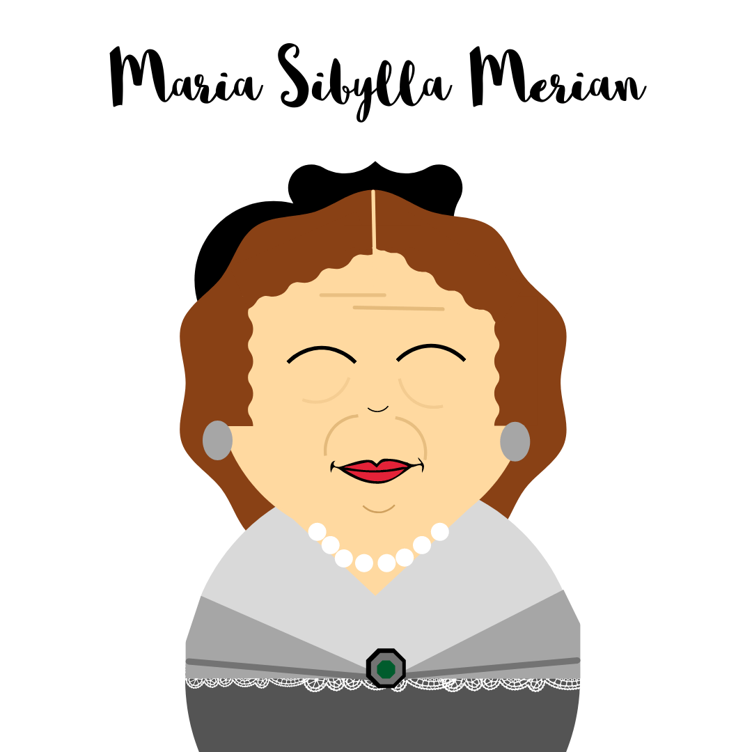 Maria Sibylla Merian Fundesplai