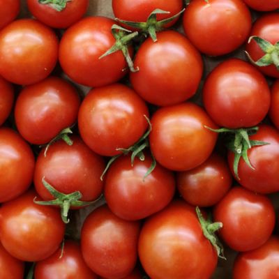 ¡Agosto es temporada de tomate!