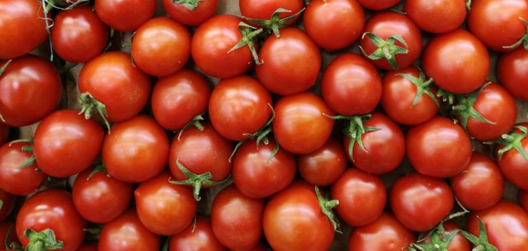 ¡Agosto es temporada de tomate!