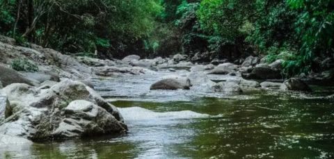 Activitat projecte rius per a la conservació i millora dels rius