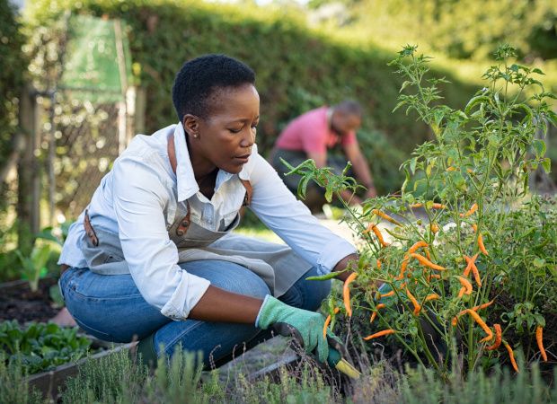 Mujeres agricultoras Fundesplai