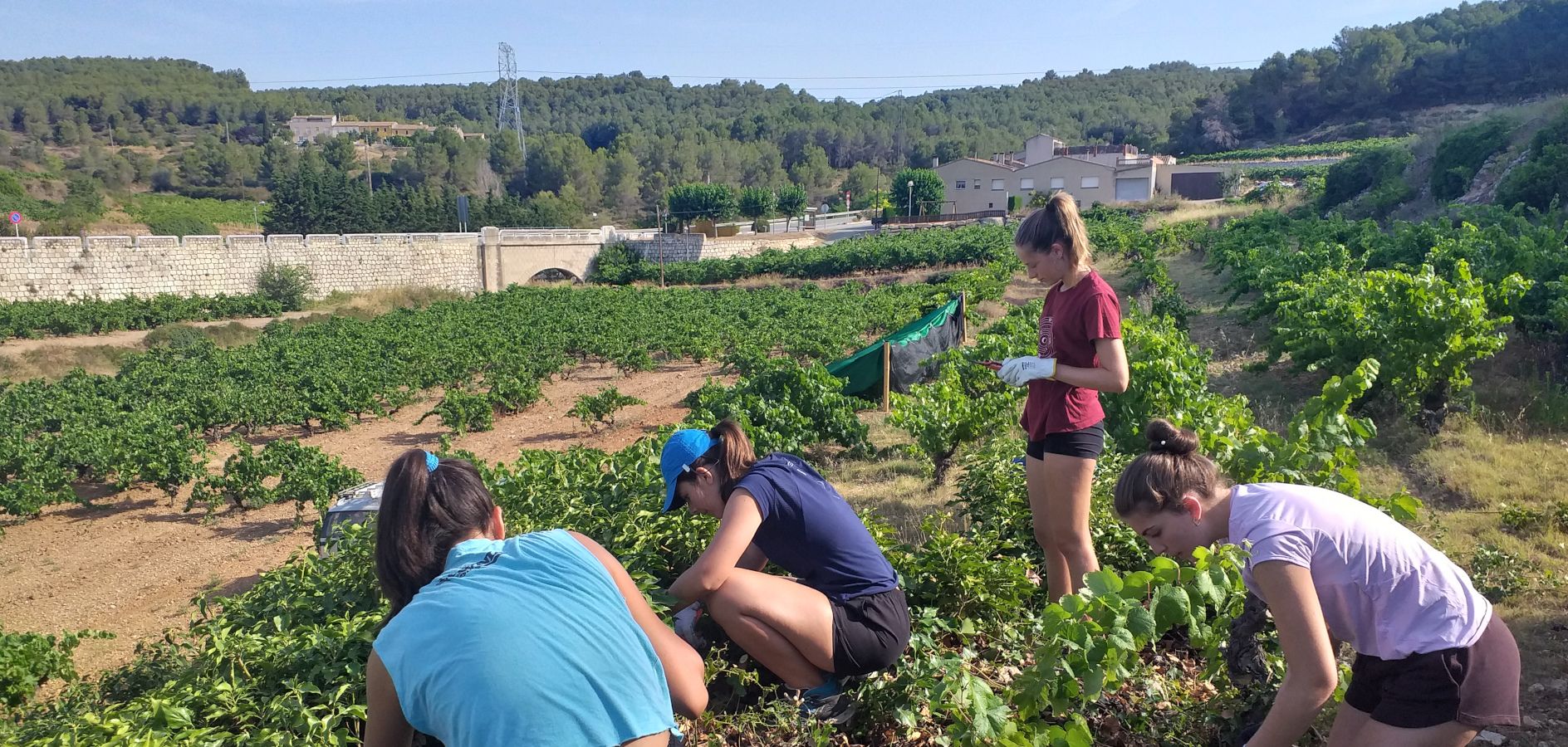 14 projectes d’ApS o Servei Comunitari per a l’escola o l’esplai