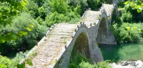Pont envoltat de vegetació