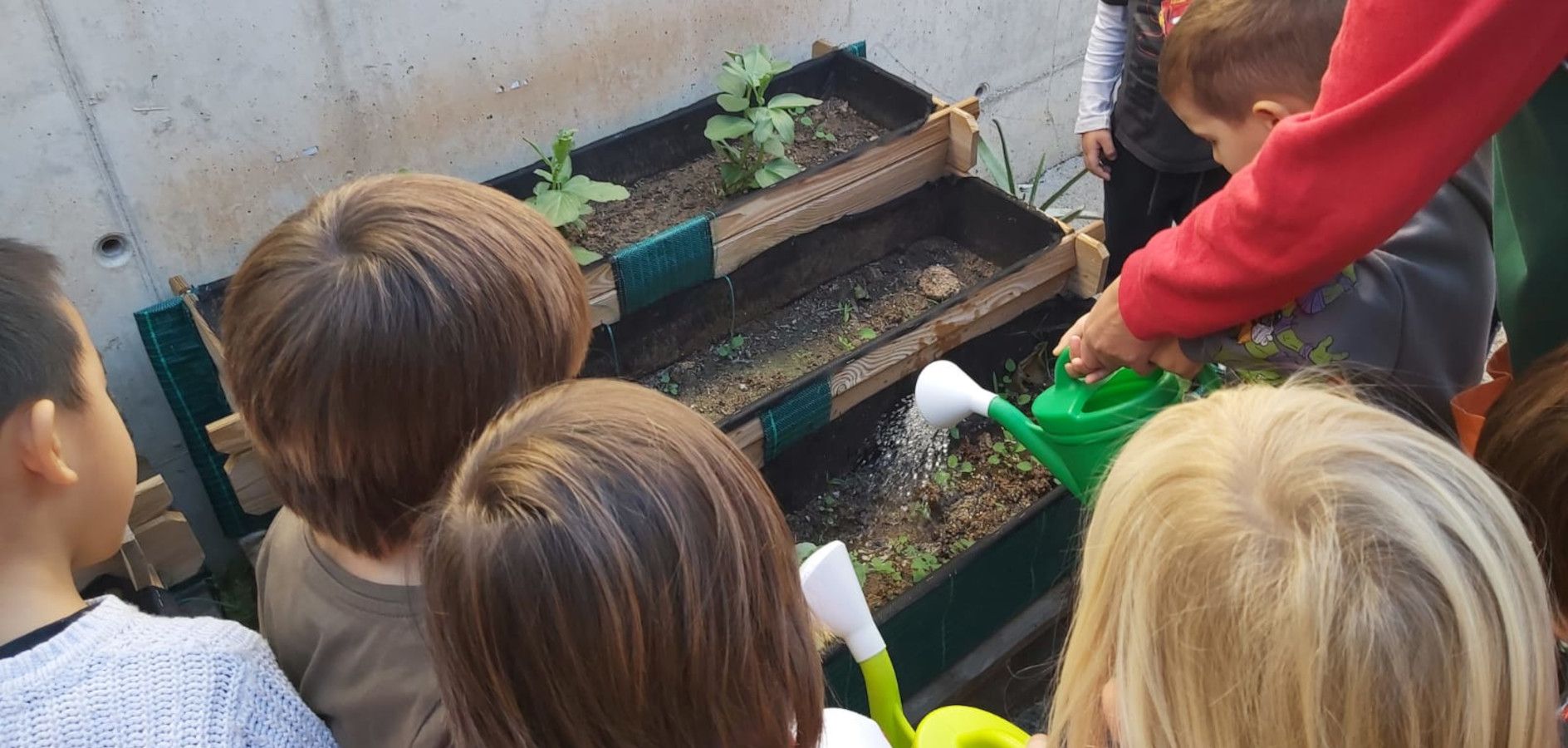 12 raons per fer un hort a l’escola o l’esplai