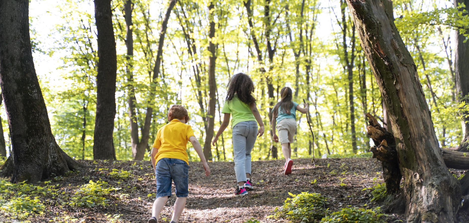 6 Colonias escolares de primavera