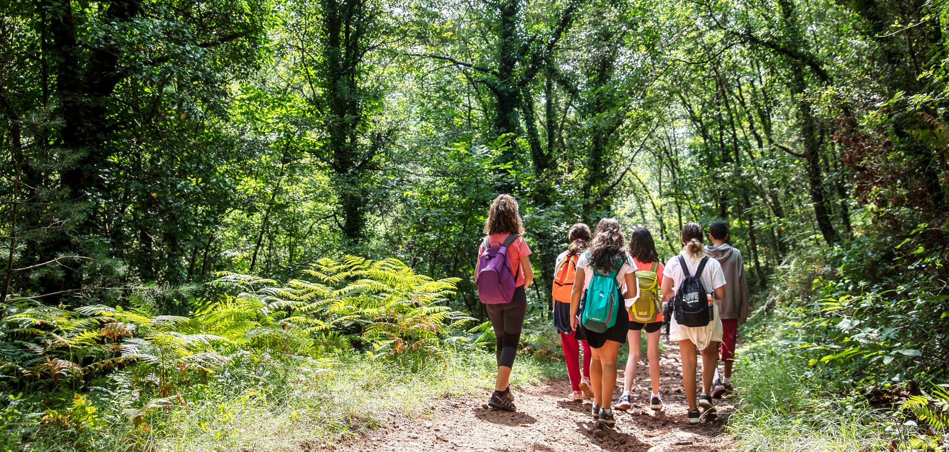 10 Activitats educatives pel Dia Mundial del Medi Ambient