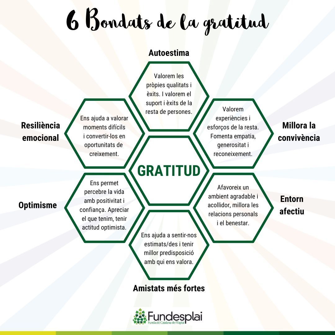 6 Bondats de la gratitud Fundesplai