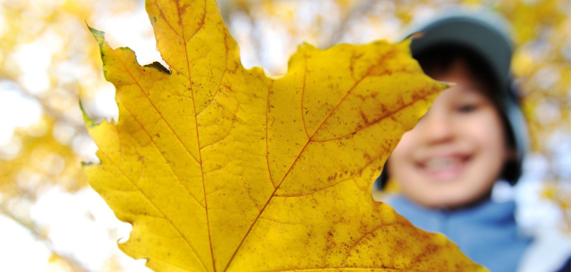 30 Cuentos sobre el otoño