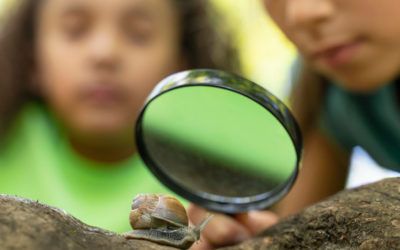 9 activitats d’un dia sobre ciència