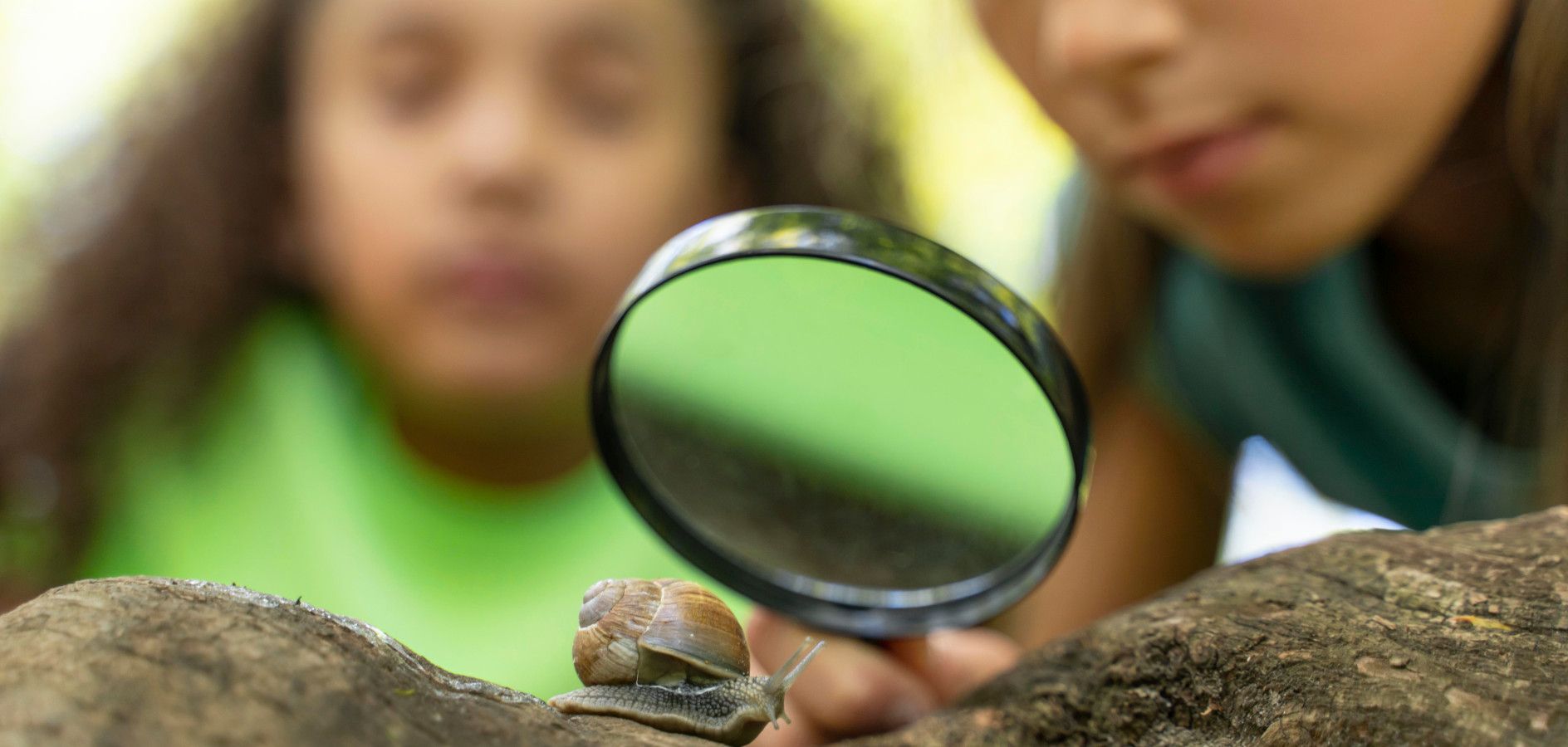 9 activitats d’un dia sobre ciència