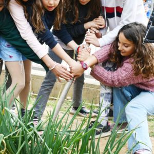 Com mantenir l’hort escolar durant l’hivern?