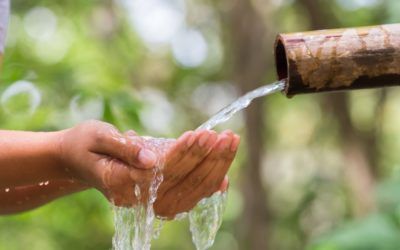 ¡6 actividades para el Día Mundial del Agua y más!