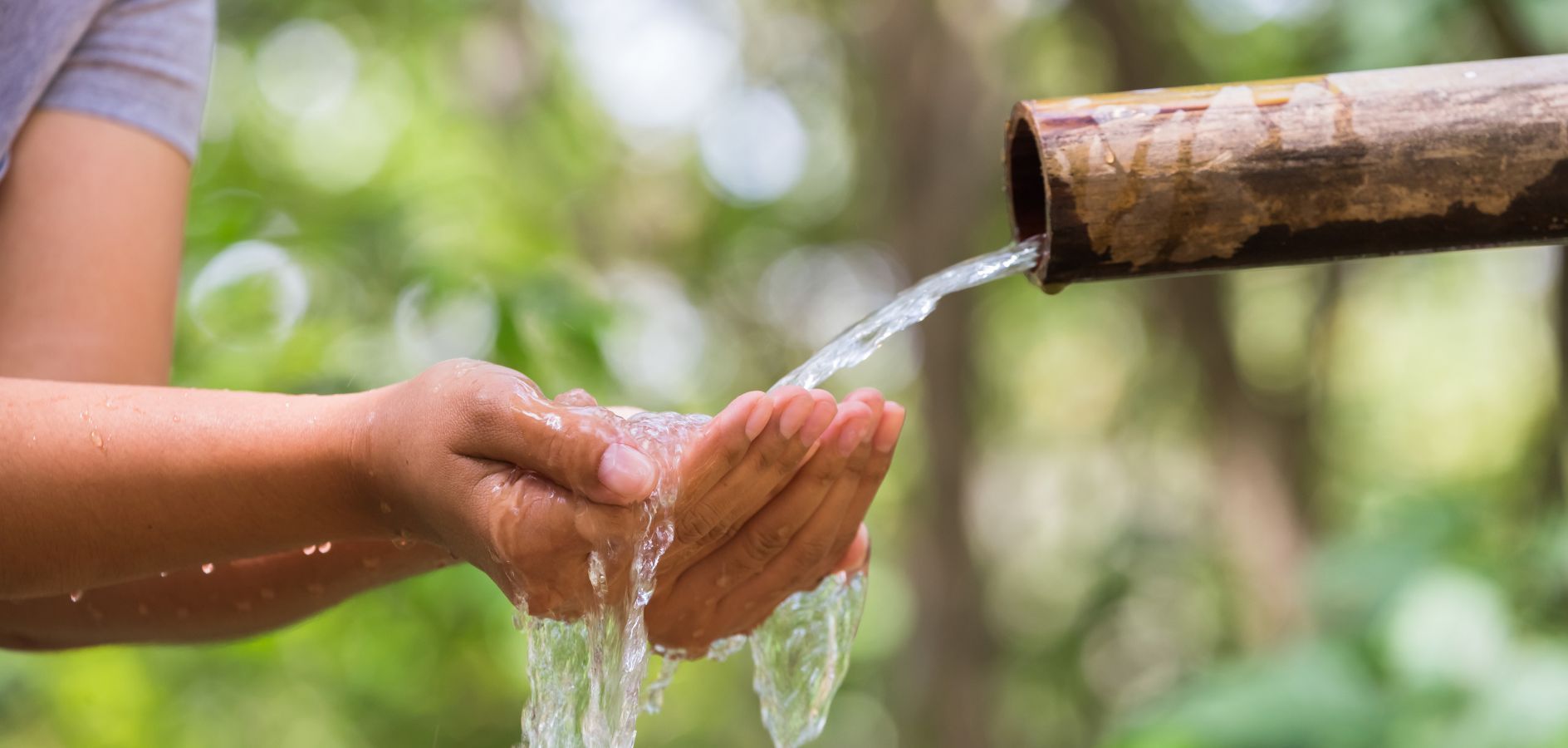 ¡6 actividades para el Día Mundial del Agua y más!