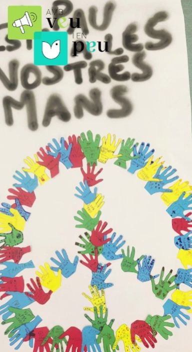 Cartell 20N proposta educativa xarxes socials